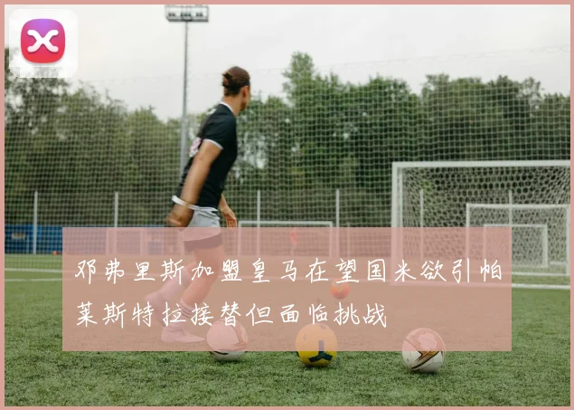 邓弗里斯加盟皇马在望国米欲引帕莱斯特拉接替但面临挑战
