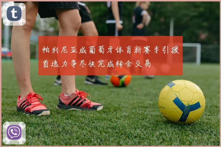 帕利尼亚成葡萄牙体育新赛季引援首选力争尽快完成转会交易